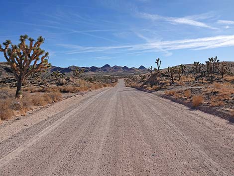 Walking Box Ranch Road