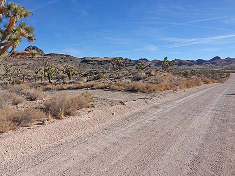 Walking Box Ranch Road