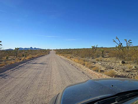 Walking Box Ranch Road