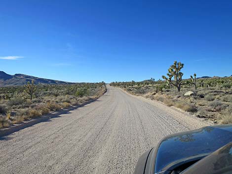 Walking Box Ranch Road