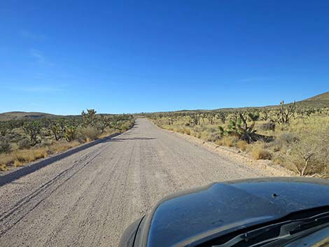 Walking Box Ranch Road