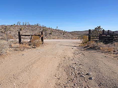 Grasslands Trail