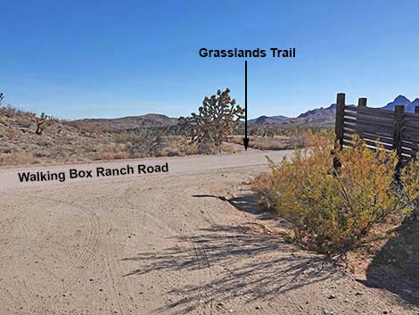 Grasslands Trail