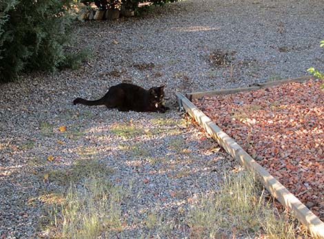 Walking Box Ranch