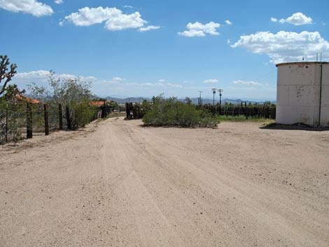 Walking Box Ranch