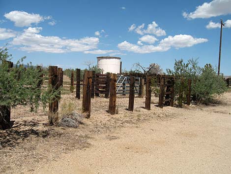 Walking Box Ranch