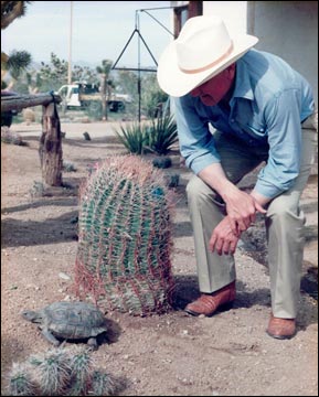 desert tortoise