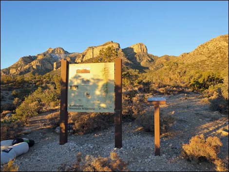 Leviathan Cave Trailhead Campsites