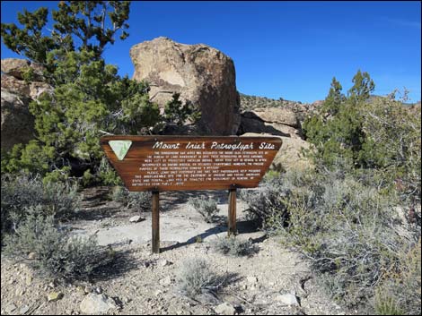 Paiute Rock