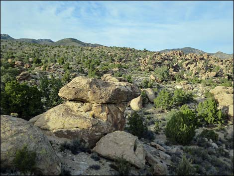 Paiute Rock