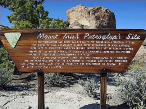 Paiute Rock