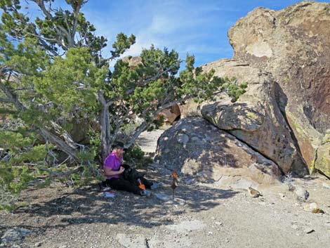 Paiute Rock