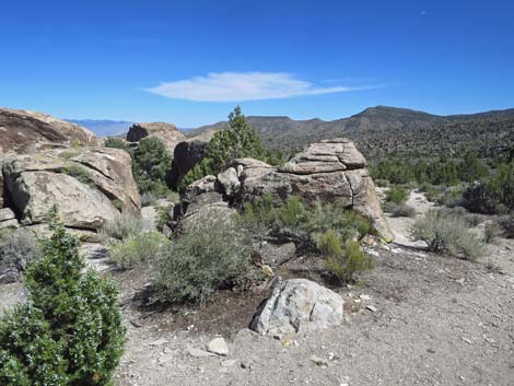 Paiute Rock