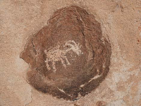 Paiute Rock