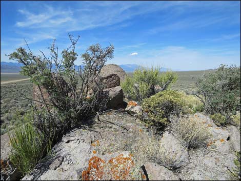 Garden Valley Crags