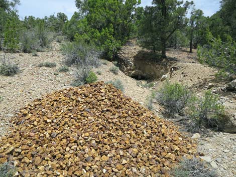 Rosario Mine