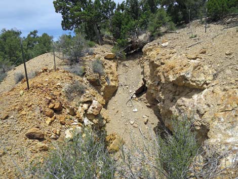 Rosario Mine