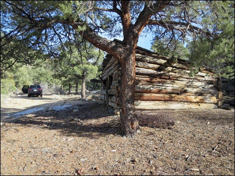 Rosie's Mining Cabin