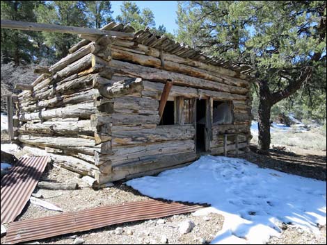 Rosie's Mining Cabin