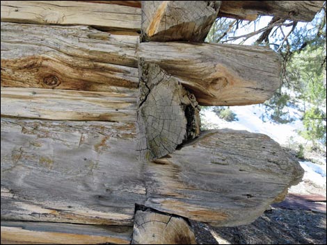 Rosie's Mining Cabin