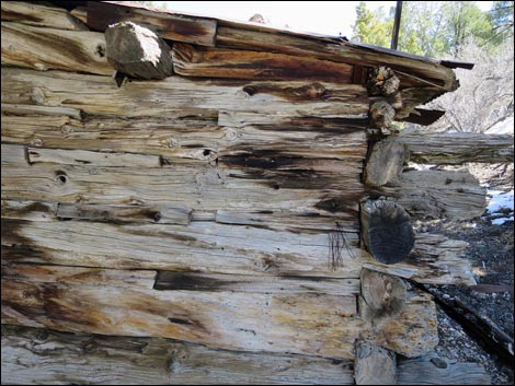 Rosie's Mining Cabin