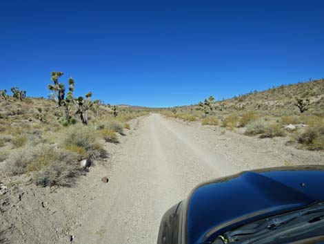 Badger Valley Road