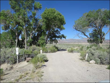 Badger Valley Road