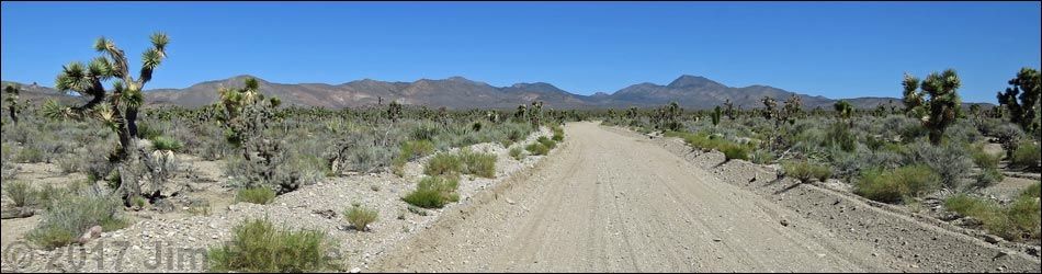 Badger Valley Road