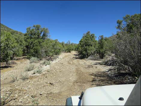 Badger Valley Road