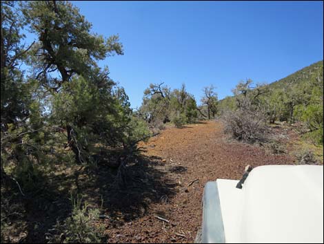 Badger Valley Road