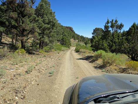 Cherry Creek Road