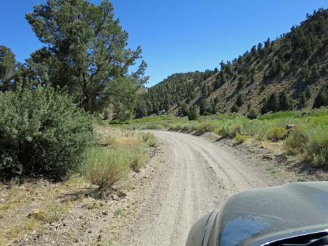 Cherry Creek Road