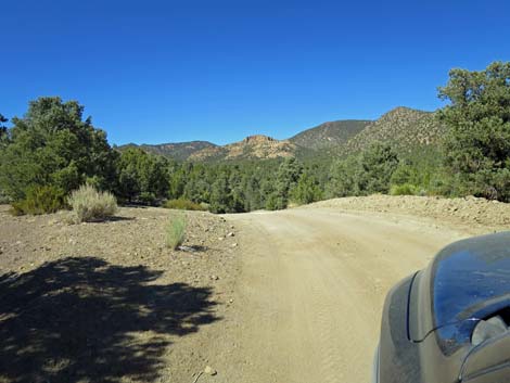 Cherry Creek Road