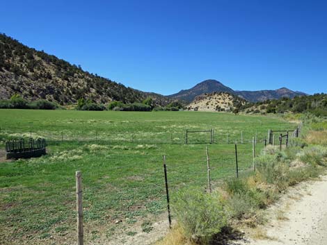 Cherry Creek Road