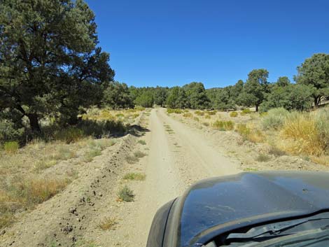 Cherry Creek Road