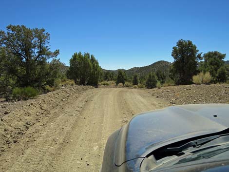 Cherry Creek Road