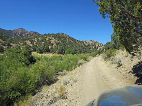 Cherry Creek Road