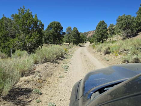 Cherry Creek Road