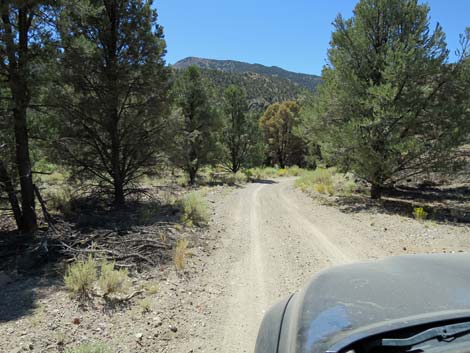 Cherry Creek Road