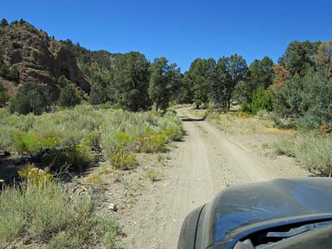 Cherry Creek Road