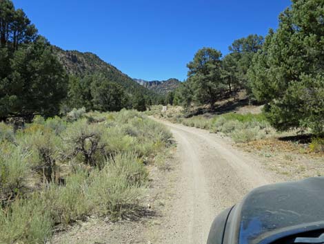 Cherry Creek Road