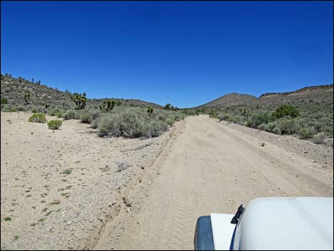 Curtis Canyon Road