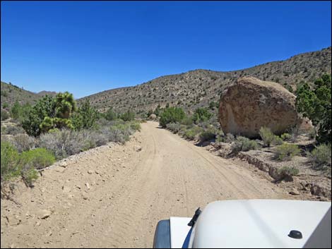 Curtis Canyon Road