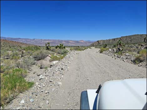 Curtis Canyon Road