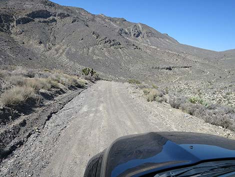 Curtis Canyon Road