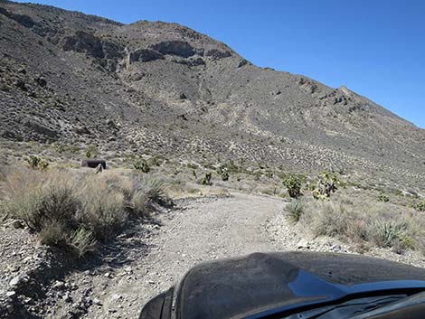 Curtis Canyon Road