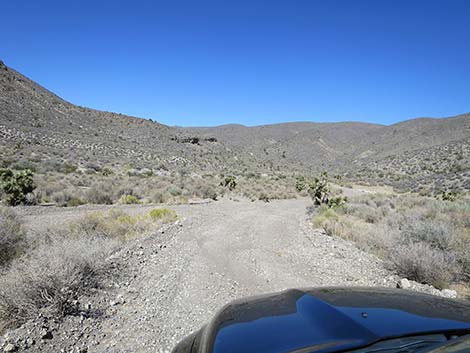 Curtis Canyon Road