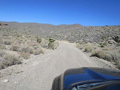 Curtis Canyon Road