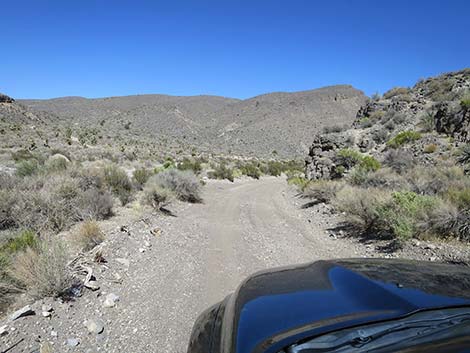 Curtis Canyon Road