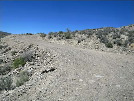 Curtis Canyon Road